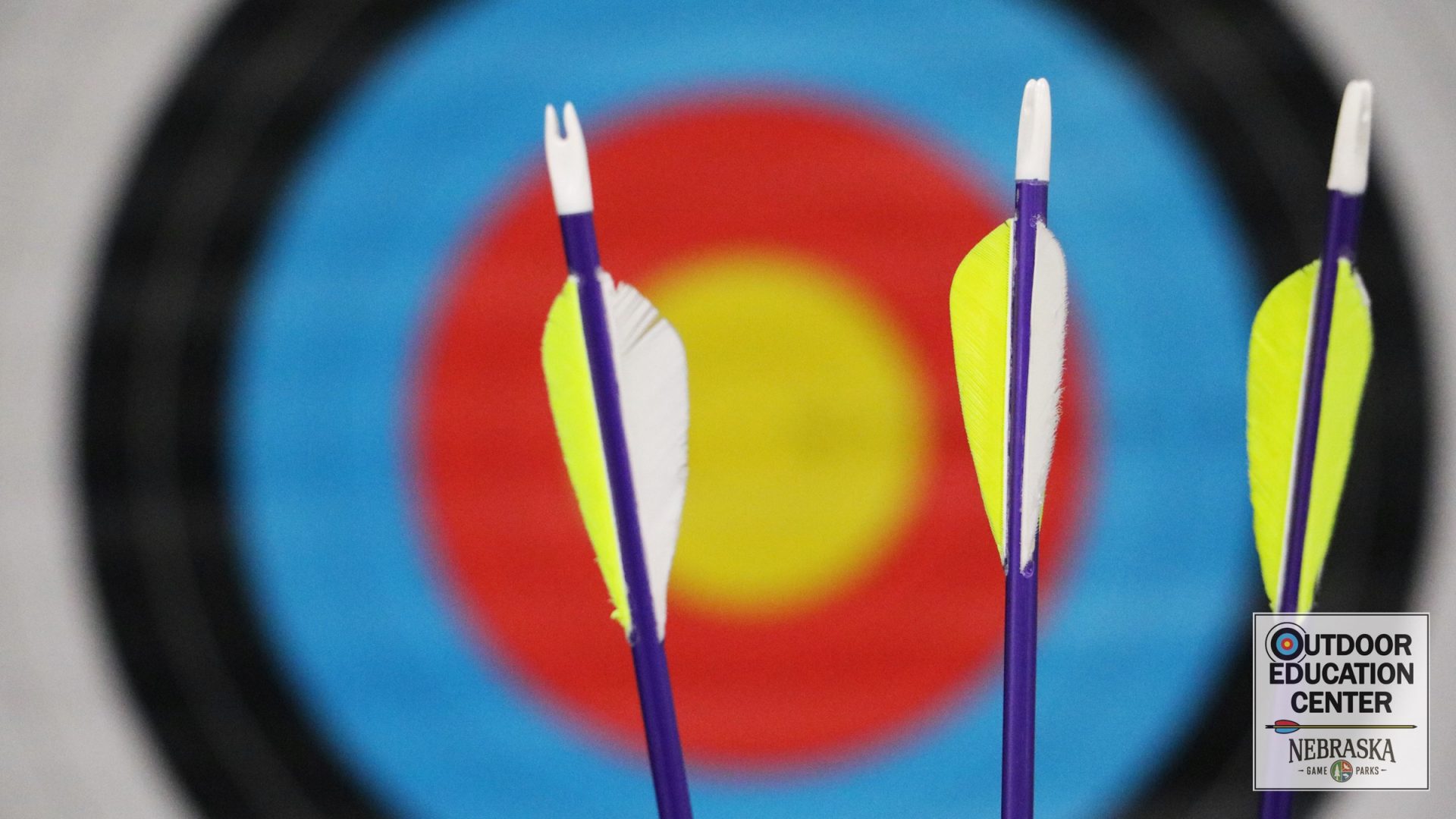 arrows and archery target