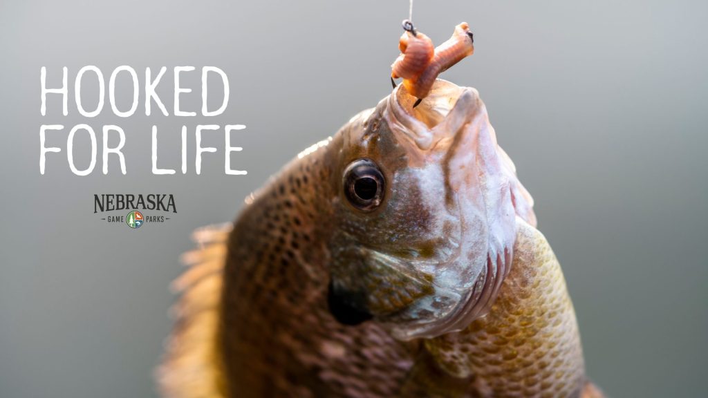 Hooked for Life fishing event graphic