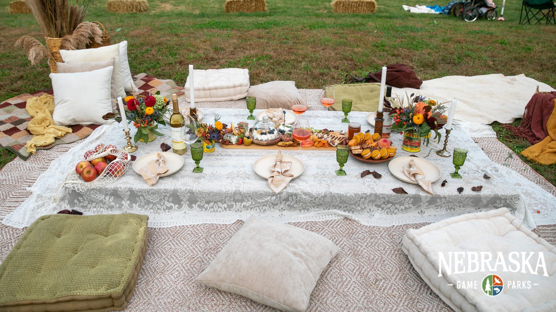 picnic set up on blanket on ground