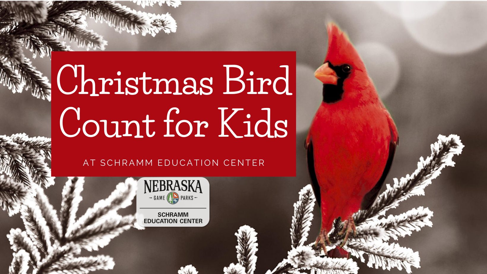 Kids　and　Outdoor　at　Parks　Schramm　Game　Christmas　Outdoor　Nebraska　Calendar　Bird　for　Count　Nebraska