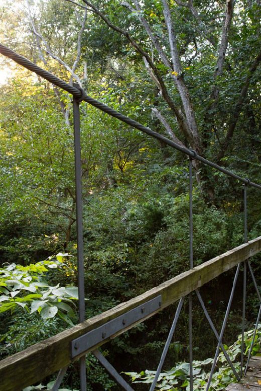 A man stands on a bridge as the sun shines through the forest.