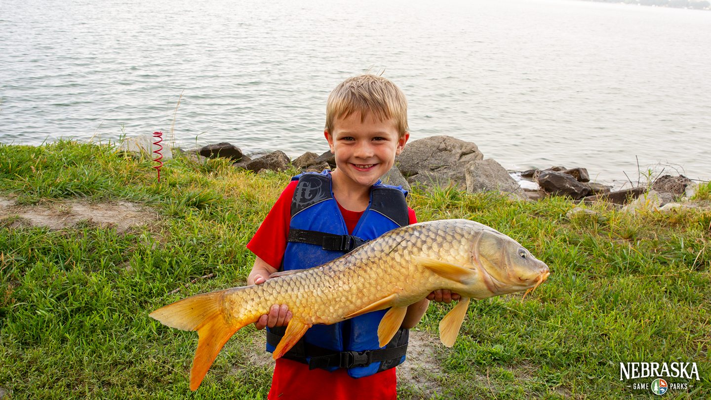 A smiling boy holds a large carp he caught while bank fishing.