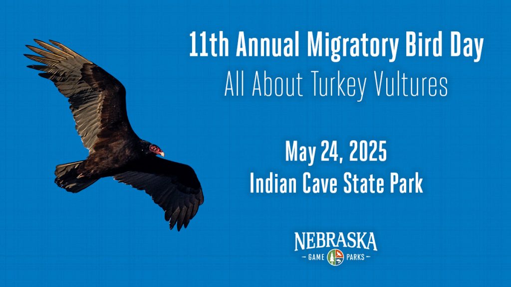 11th Annual Migratory Bird Day event cover featuring a turkey vulture