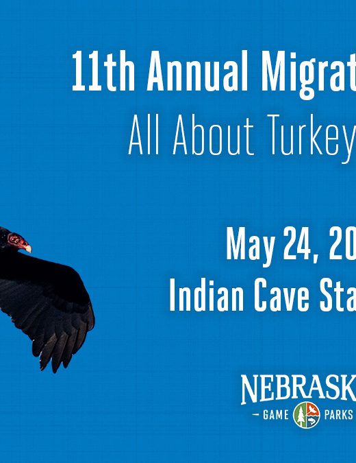 11th Annual Migratory Bird Day event cover featuring a turkey vulture