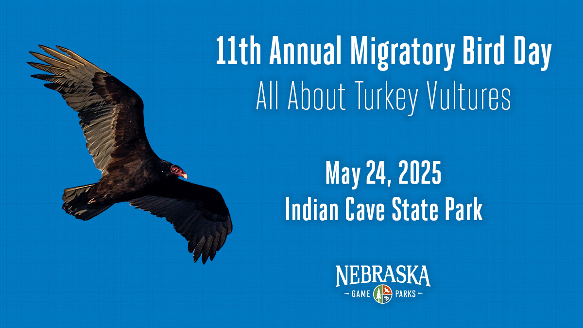 11th Annual Migratory Bird Day event cover featuring a turkey vulture