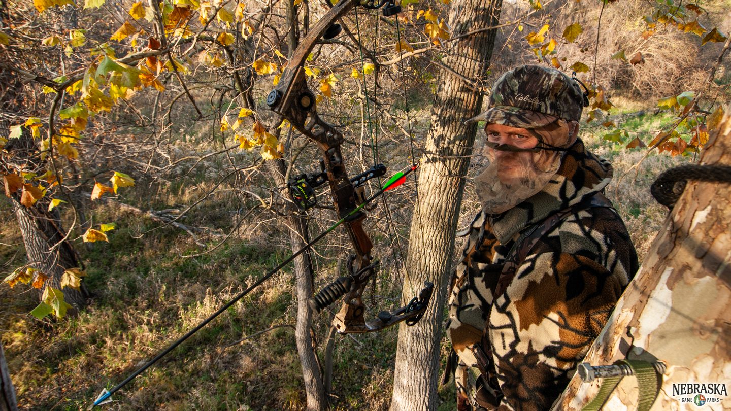A man archery hunts from a tree stand during fall.