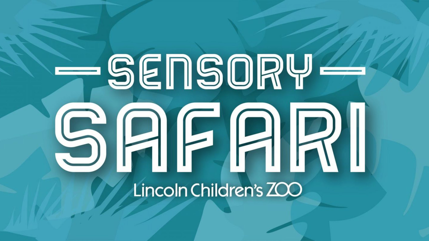 Sensory Safari at the Lincoln Children's Zoo graphic.