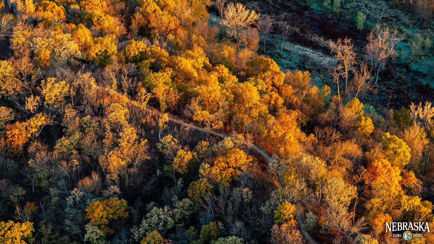 Aerial view of a running trail surrounded by forest during autumn.