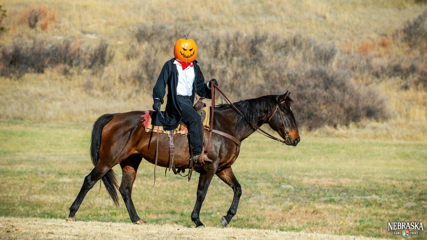 A man wearing a pumpkin head rides a horse on Halloween at a park.