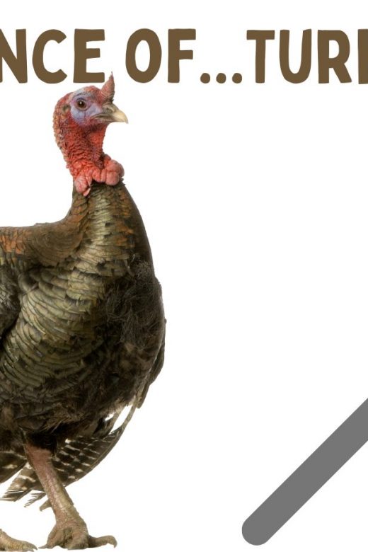 Graphic for the Science of Turkeys virtual event.