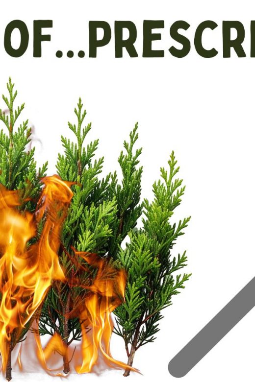 Graphic for the science of prescribed fire virtual event.