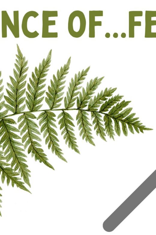 Graphic for science of ferns virtual event.