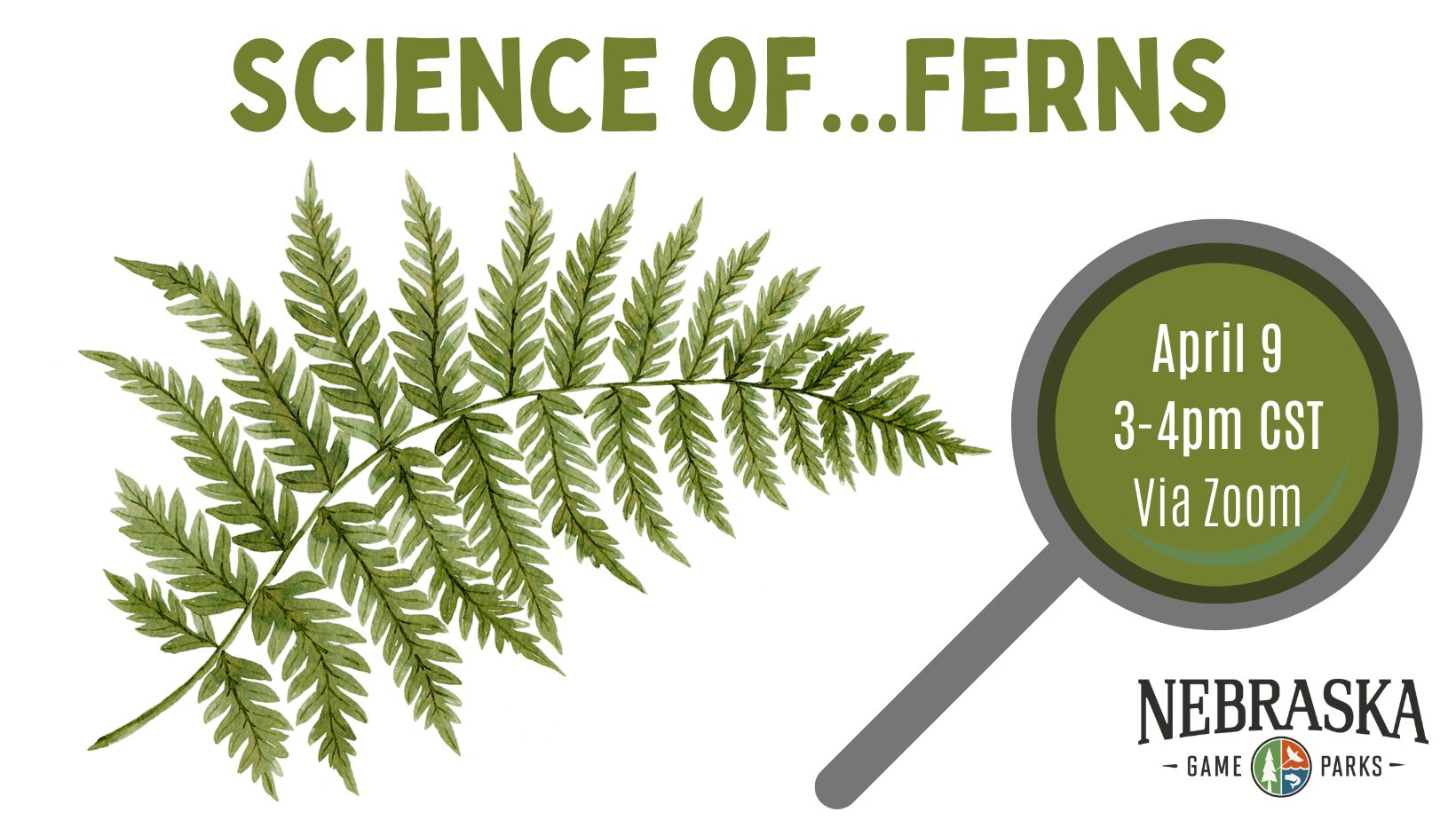Graphic for science of ferns virtual event.