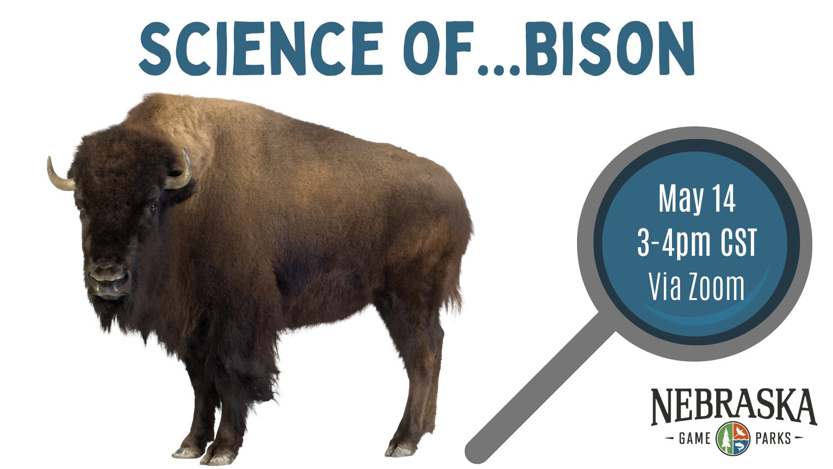 Graphic for the science of bison virtual event.