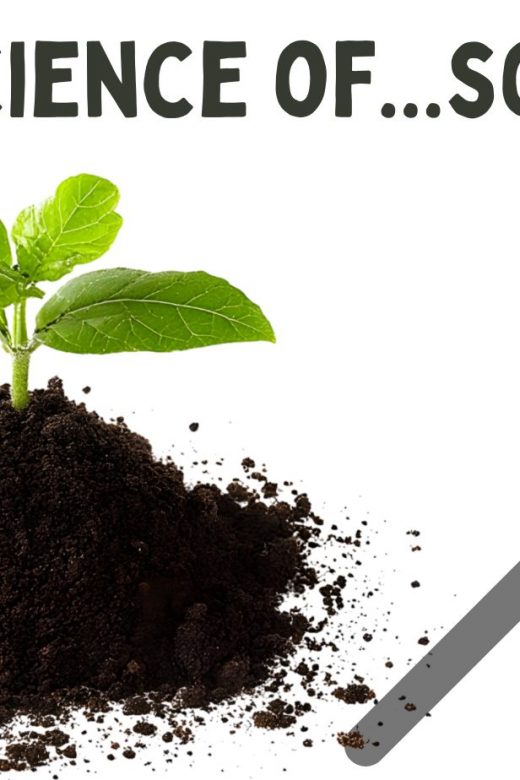 graphic for the science of soil event