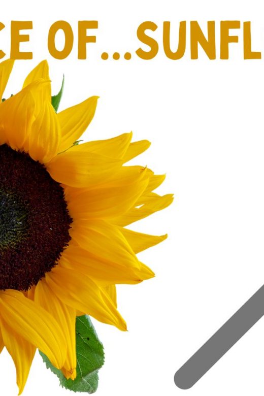 graphic for the science of sunflowers virtual event
