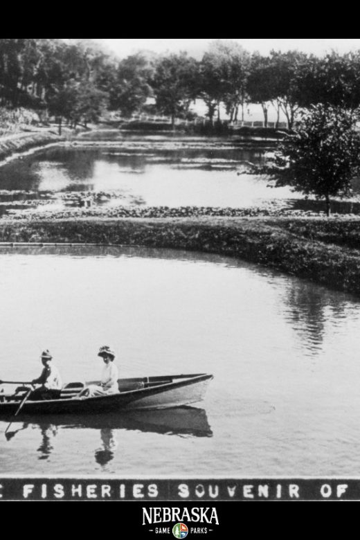 A historic image of people on a small boat in a pond at the Schramm Hatchery in Gretna, Nebraska.