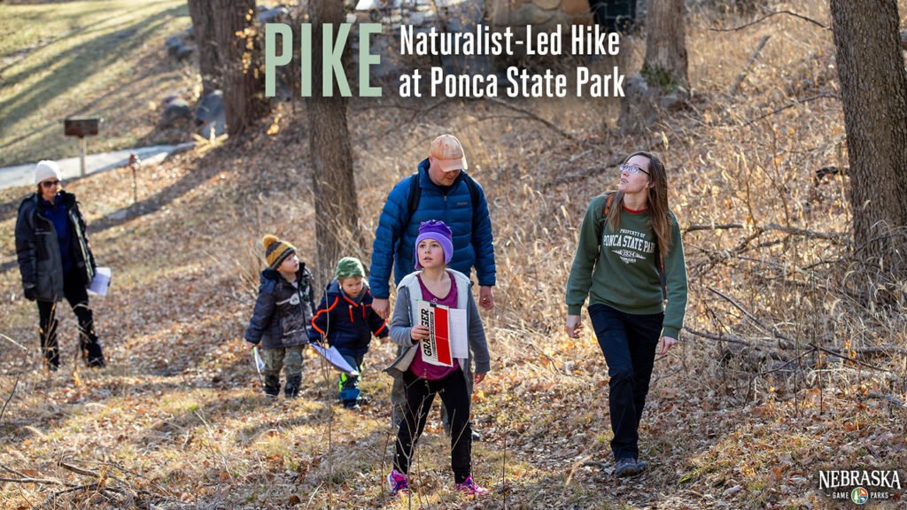 Graphic for a naturalist-led hike at Ponca State Park with people hiking outdoors.