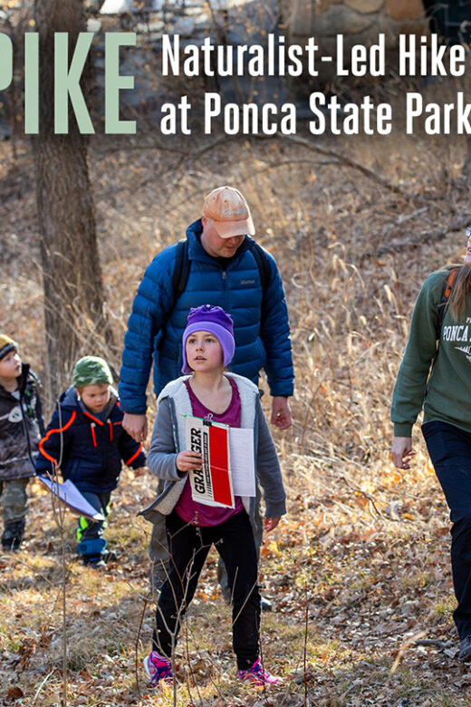 Graphic for a naturalist-led hike at Ponca State Park with people hiking outdoors.