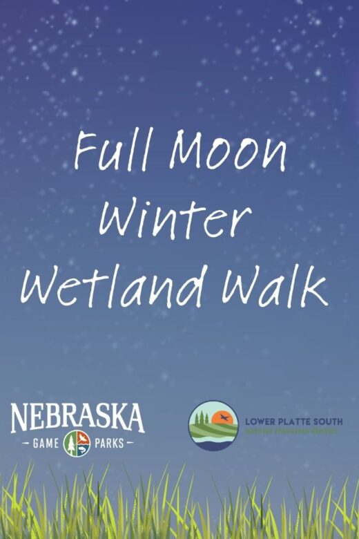 Graphic for Full Moon Winter Wetland Walk.