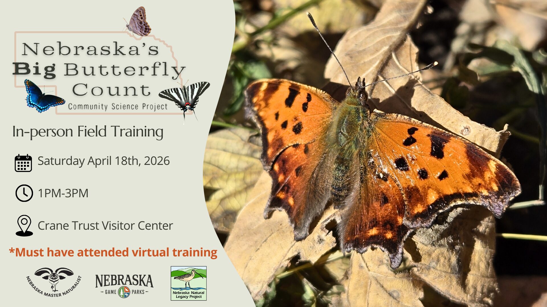 Graphic for the Nebraska Big Butterfly Count in-person training.
