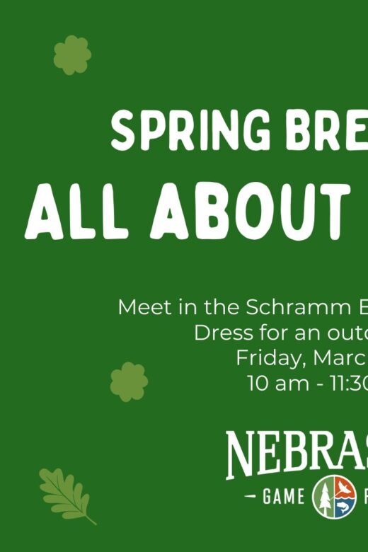 Graphic for All About Beavers event at Schramm Education Center.