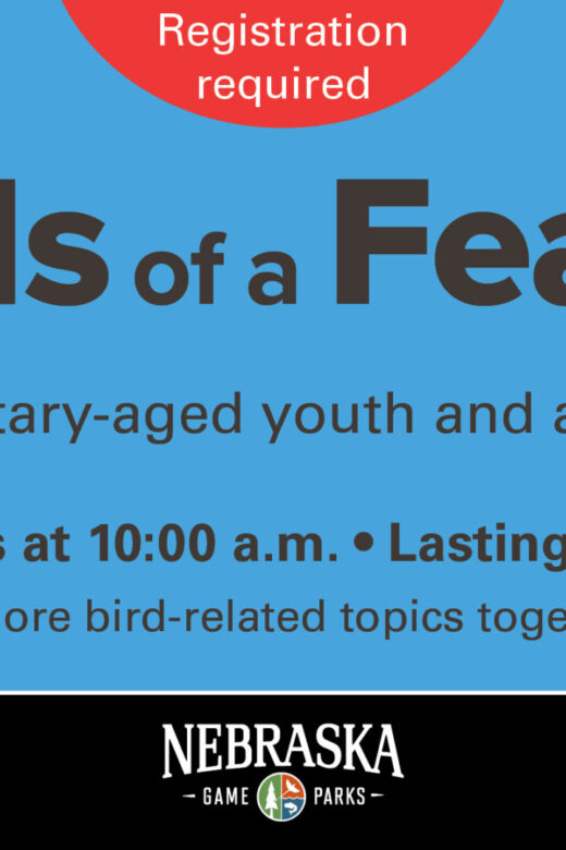 Graphic for Birds of a Feather program at Mahoney State Park.
