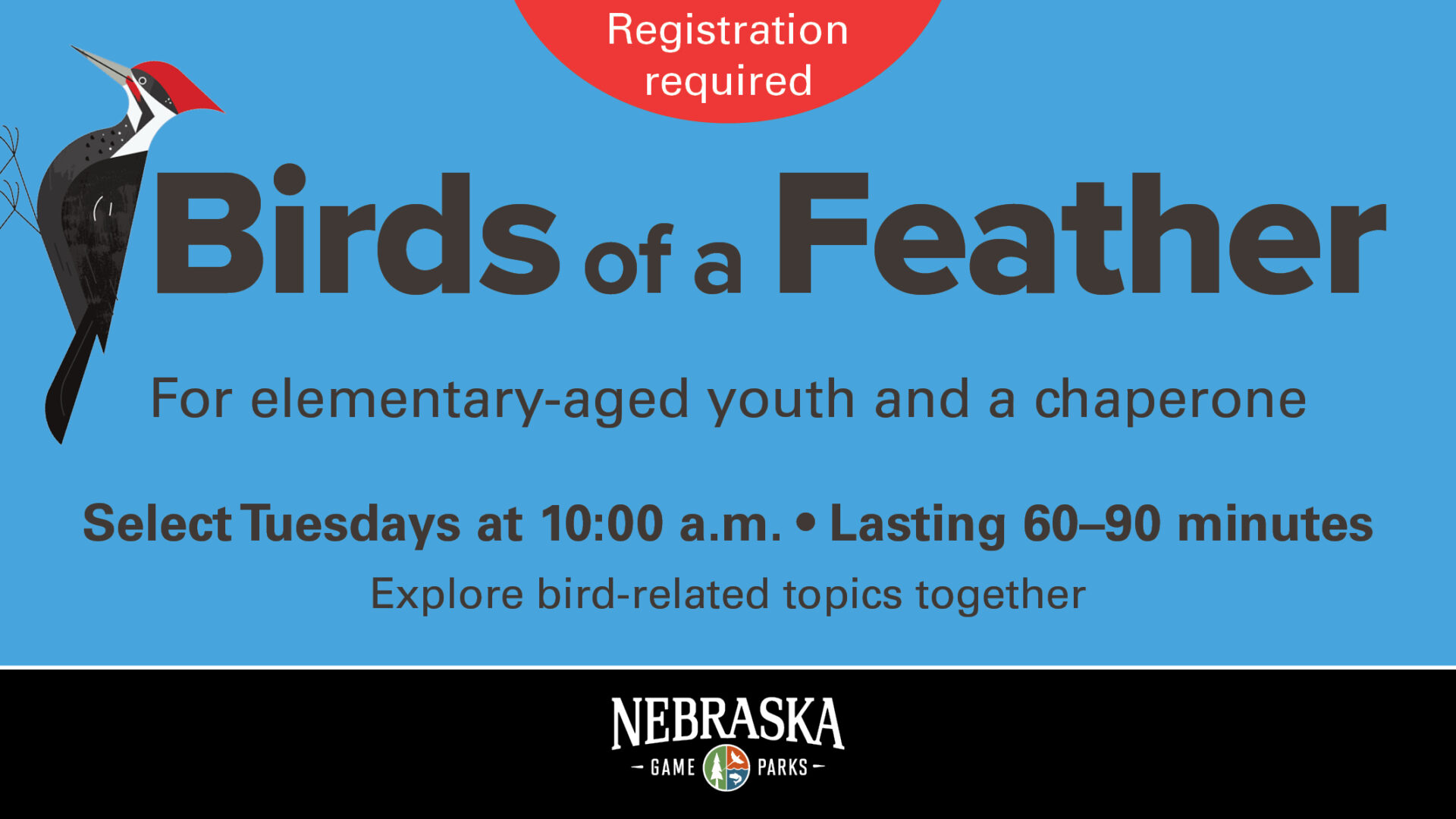 Graphic for Birds of a Feather program at Mahoney State Park.