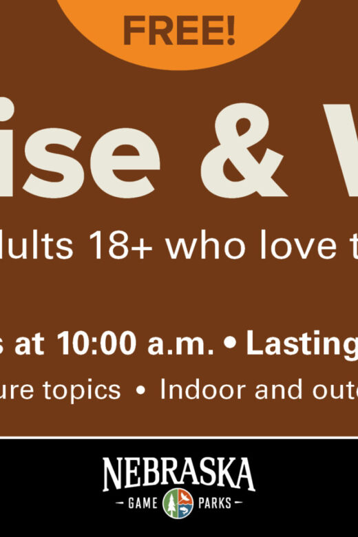 Graphic for Wise and Wild event series at Mahoney State Park, which occurs select Tuesdays at 10 a.m. for adults 18 and up.