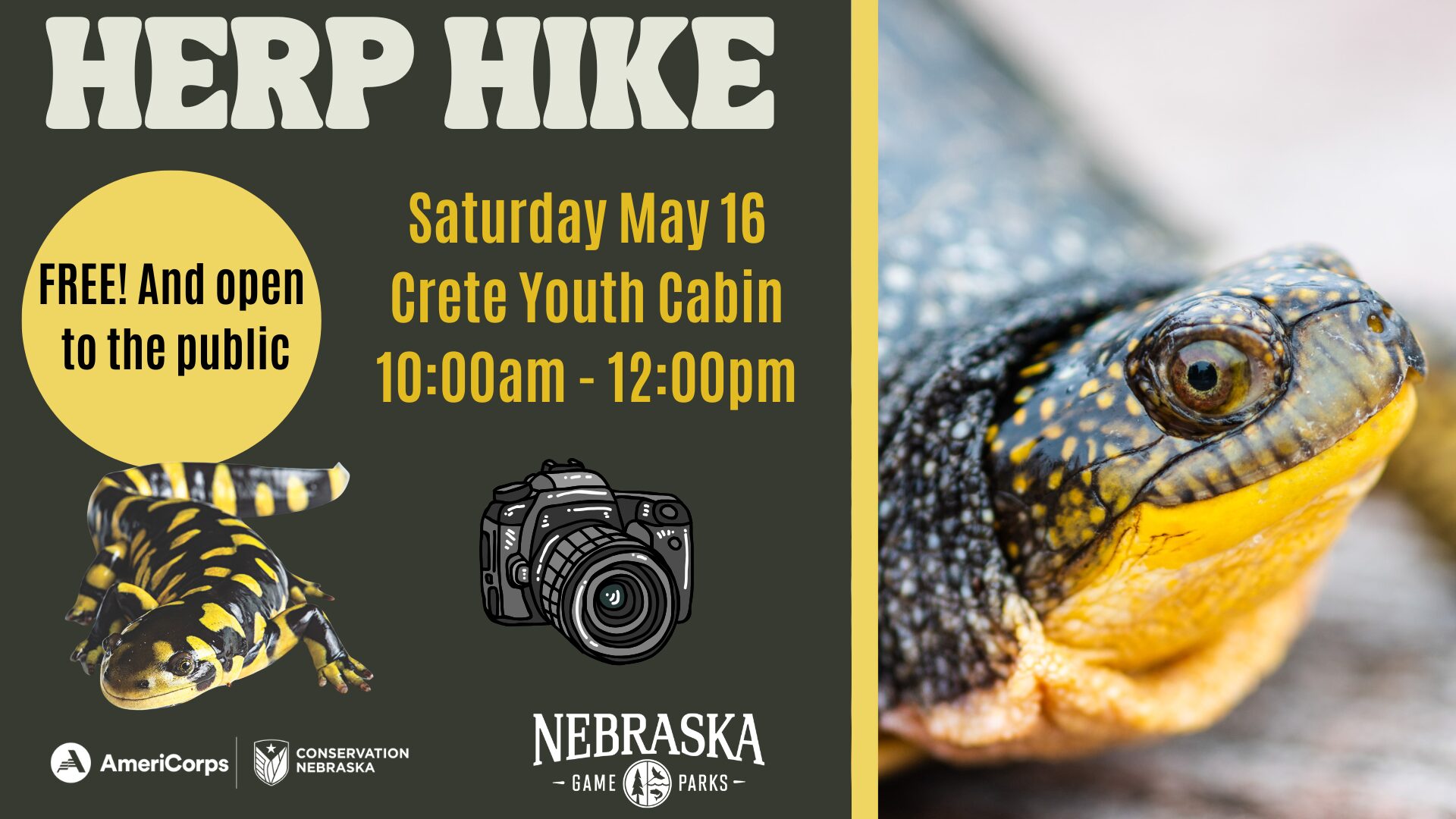 Graphic for a herp hike event with a turtle on it.