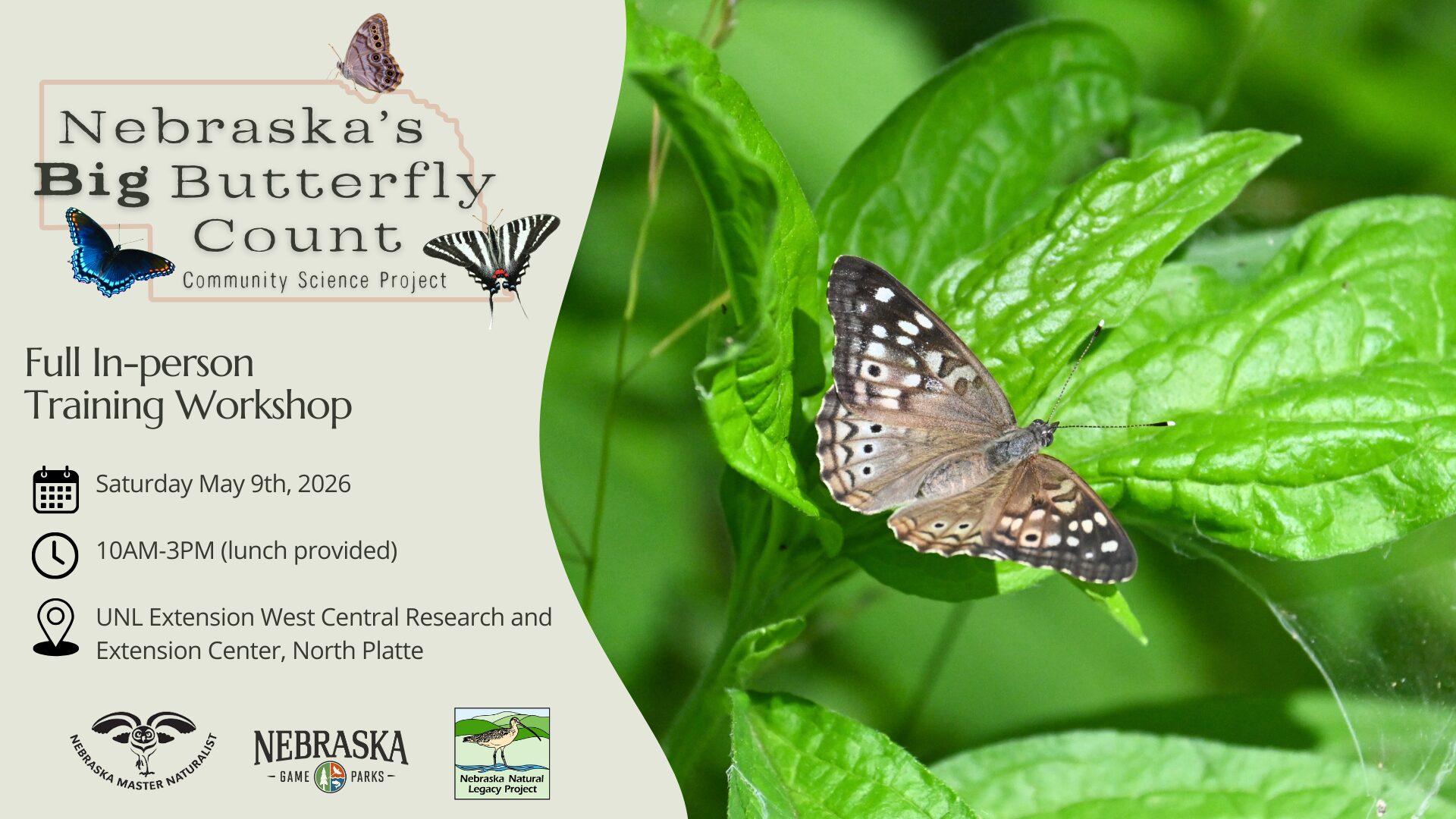 Graphic for Nebraska's Big Butterfly Count training workshops.