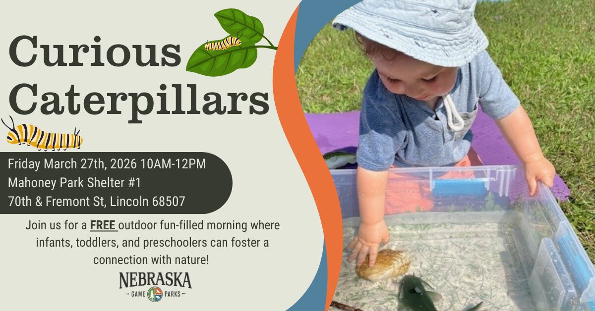 Event graphic for Curious Caterpillars at Mahoney Park in Lincoln, Nebraska.