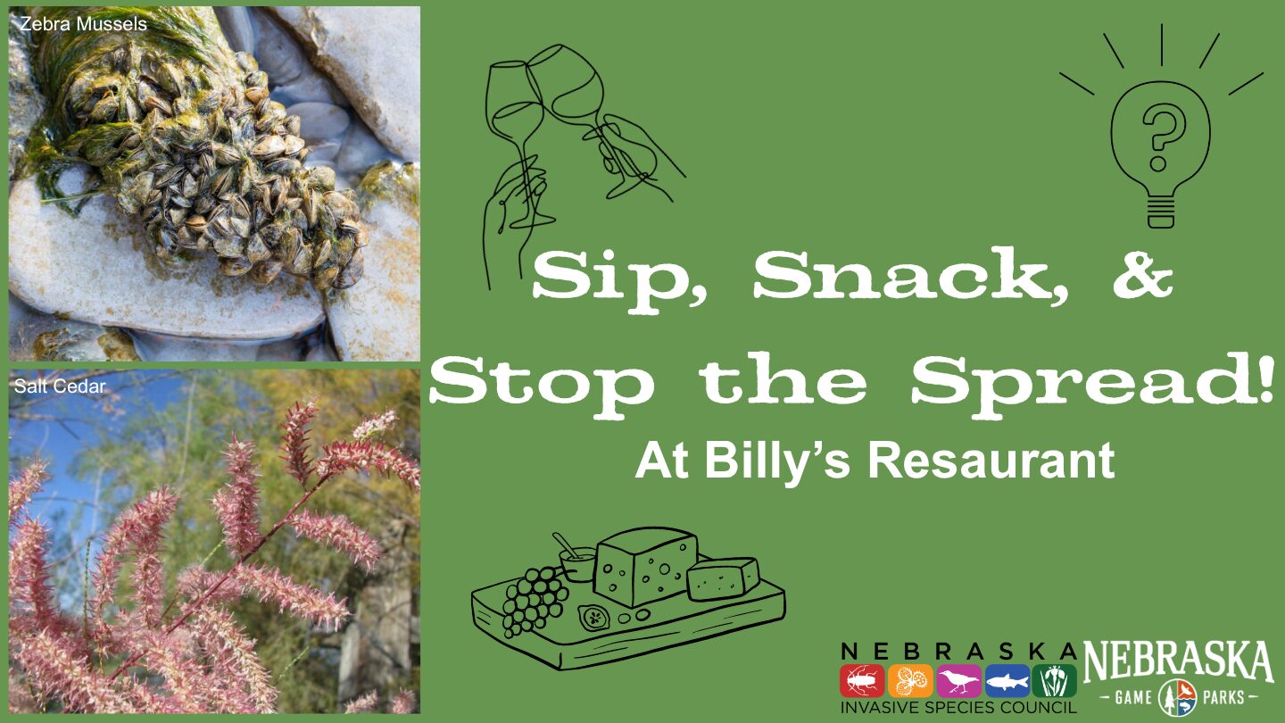 Event graphic for Sip, Snack and Stop the Spread at Billy's Restaurant.