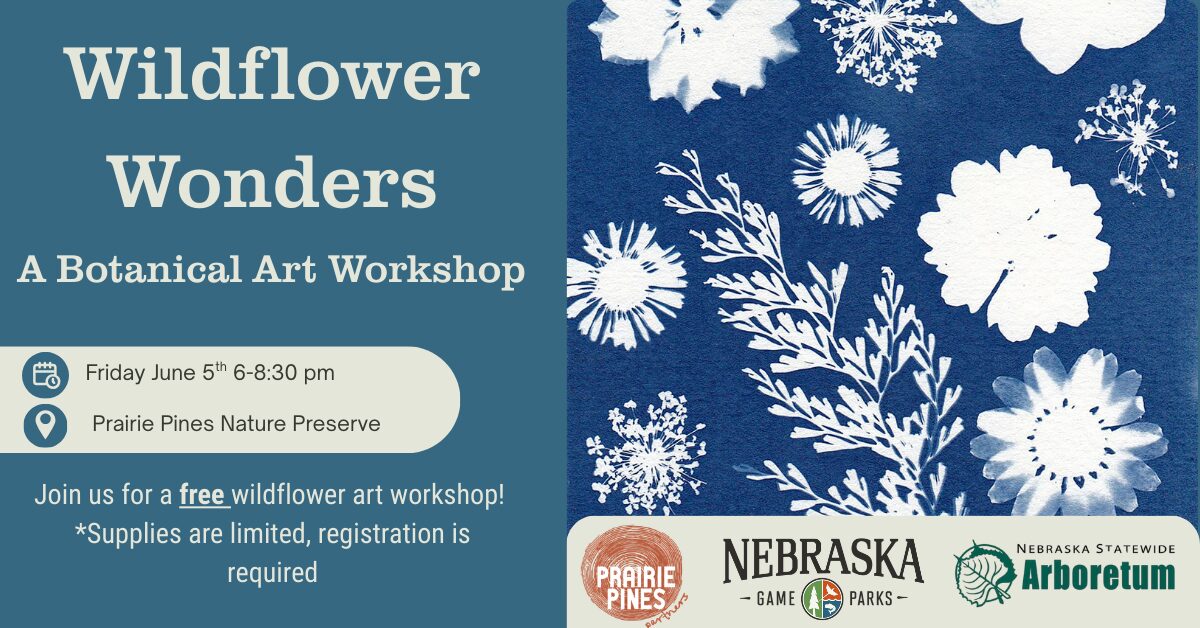 Event graphic for Wildflower Wonders: A Botanical Art Workshop.
