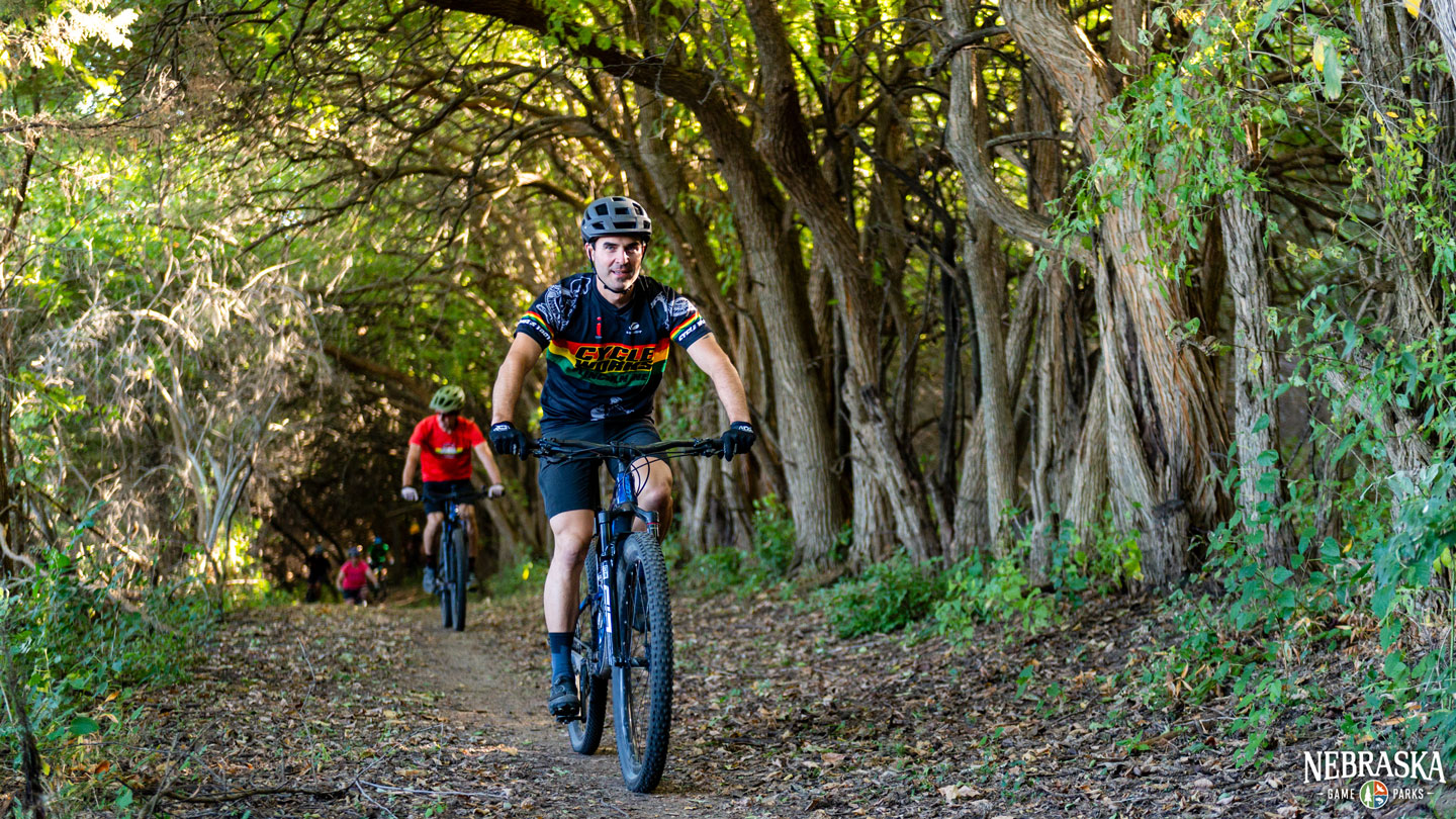 People riding bikes on a forested trail in a park.