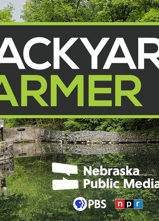 Graphic for a Backyard Farmer program at Schramm Park SRA.