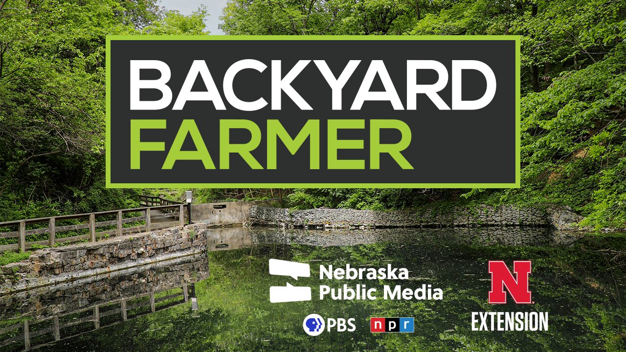 Graphic for a Backyard Farmer program at Schramm Park SRA.