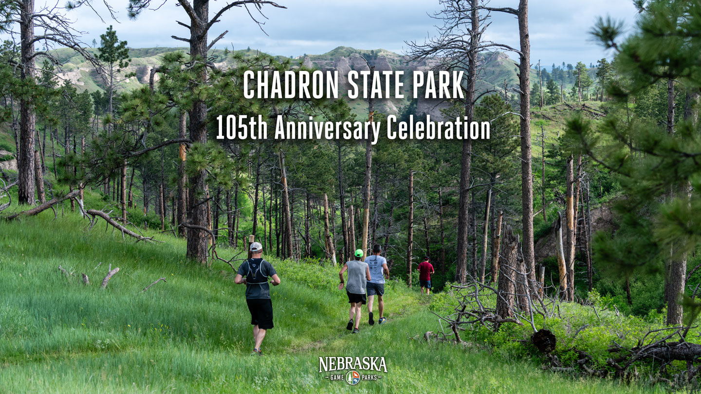 Runners on a scenic trail through the pine ridge at Chadron State Park.