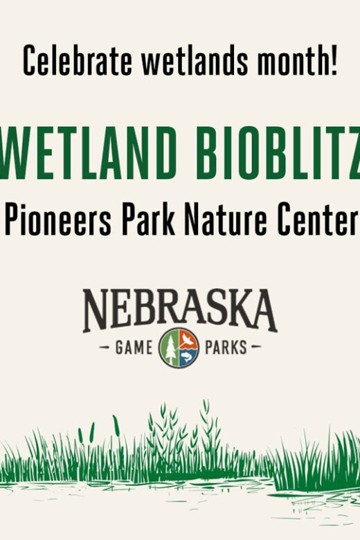 Event graphic for a Wetland Bioblitz at Pioneers Park Nature Center.