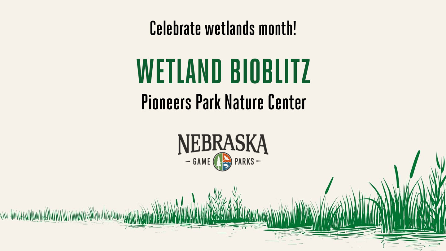 Event graphic for a Wetland Bioblitz at Pioneers Park Nature Center.