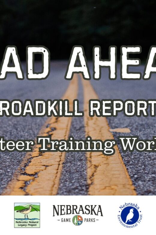 Image of a road with text that says: "Dead Ahead: Nebraska's Roadkill Reporting Project Volunteer Training Workshop" Below the text are logos for Nebraska Game and Parks, the Natural Legacy Project, and Nebraska Environmental Trust.