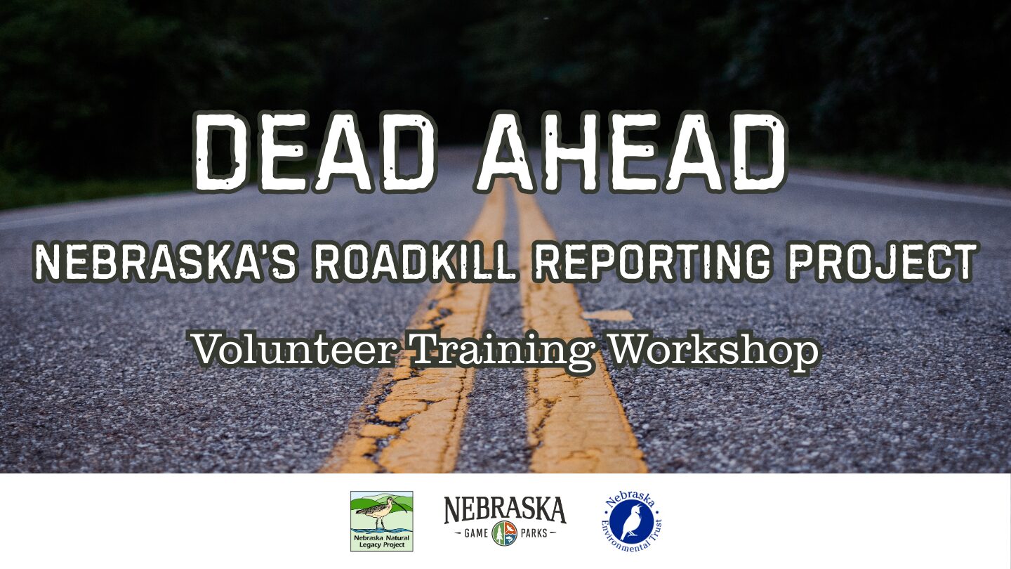 Image of a road with text that says: "Dead Ahead: Nebraska's Roadkill Reporting Project Volunteer Training Workshop" Below the text are logos for Nebraska Game and Parks, the Natural Legacy Project, and Nebraska Environmental Trust.
