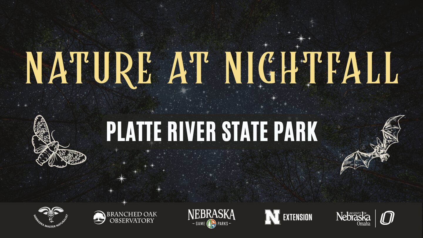 Background image is looking up at the night sky through some trees. Text over image says Nature at Nightfall Platte River State Park with a moth on the left of the text and a bat on the right. Logs on the bottom of the image for Nebraska Master Naturalist, Branch Oak Observatory, Nebraska Game and Parks, UNL Extension, and UNO