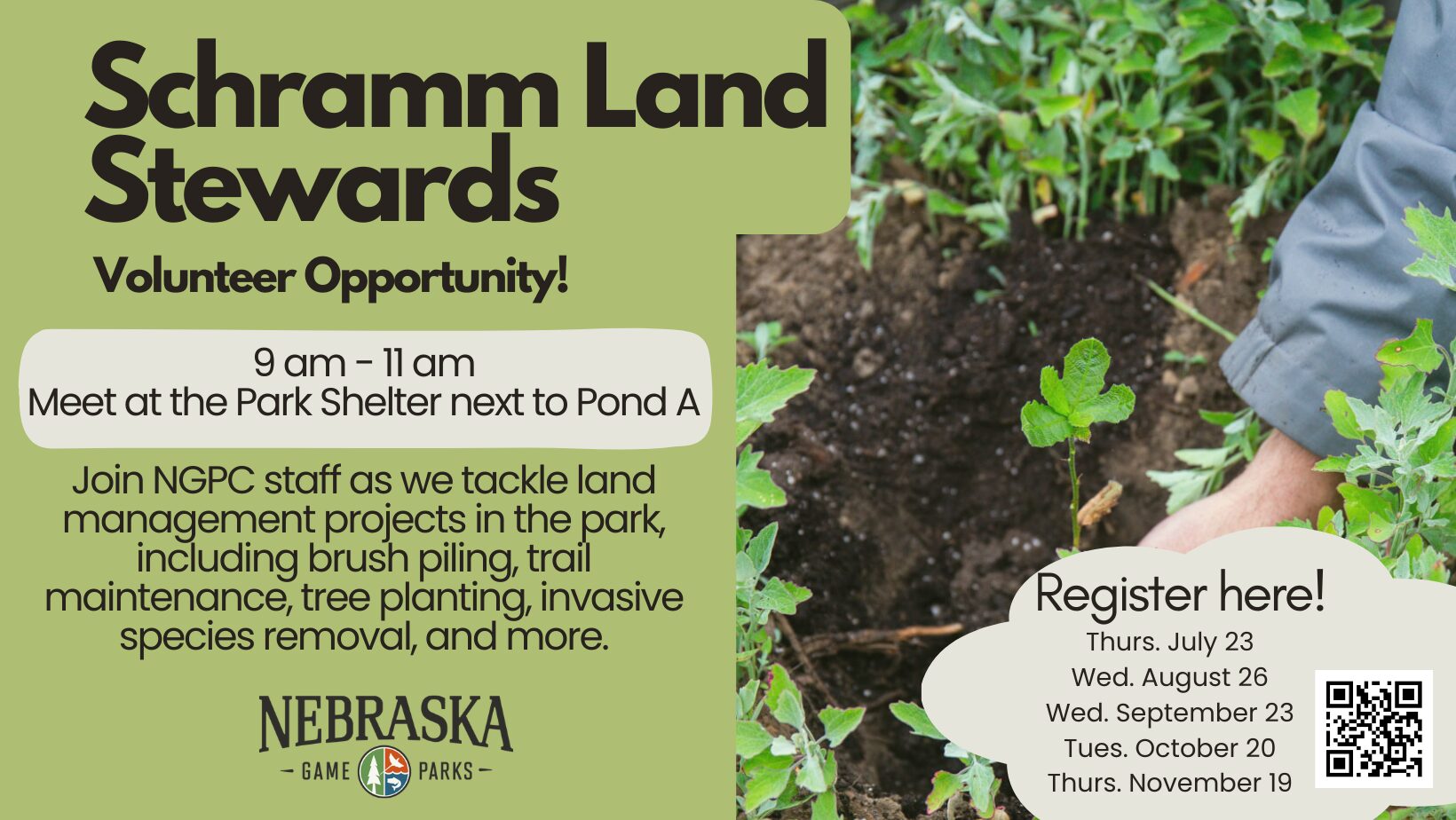 A picture of hands planting an oak tree sapling. Text reads "Schramm Land Stewards Volunteer Opportunity. 9 am to 11 am. Meet at the park shelter next to Pond A."