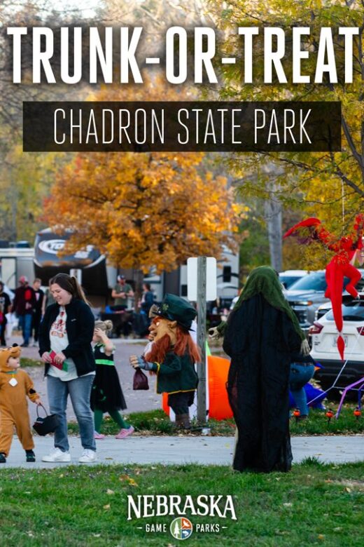Trick-or-treaters at a Halloween event in a park.