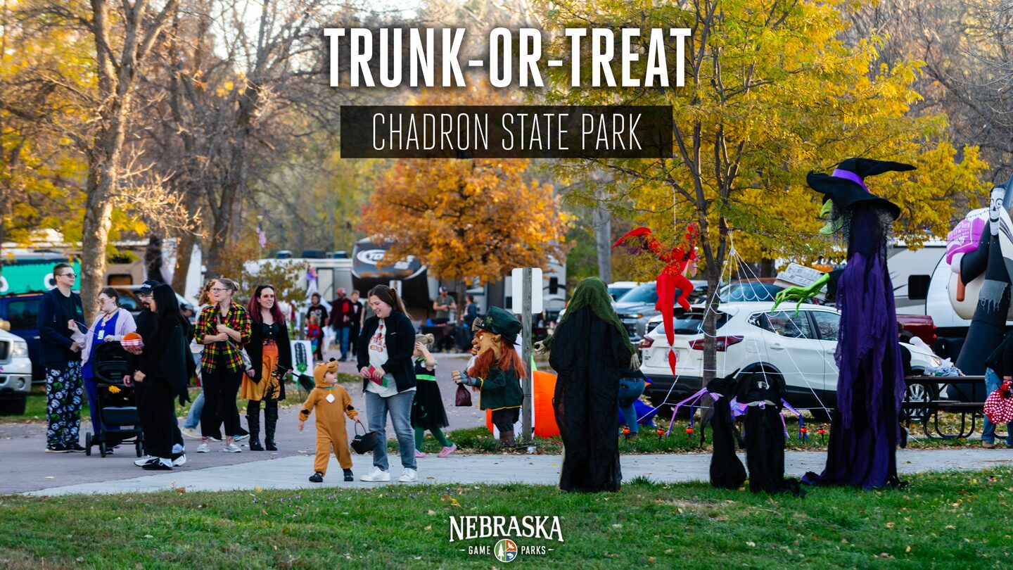 Trick-or-treaters at a Halloween event in a park.