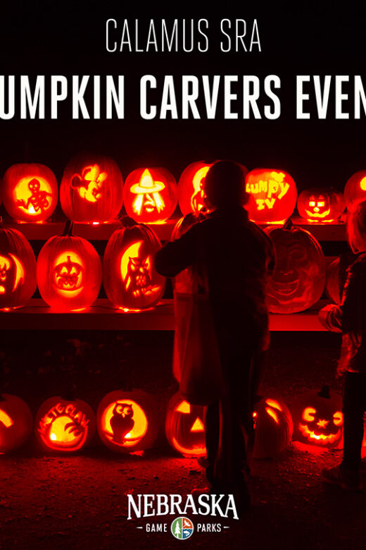 Two kids look at lit up jack-o-lanterns at night.