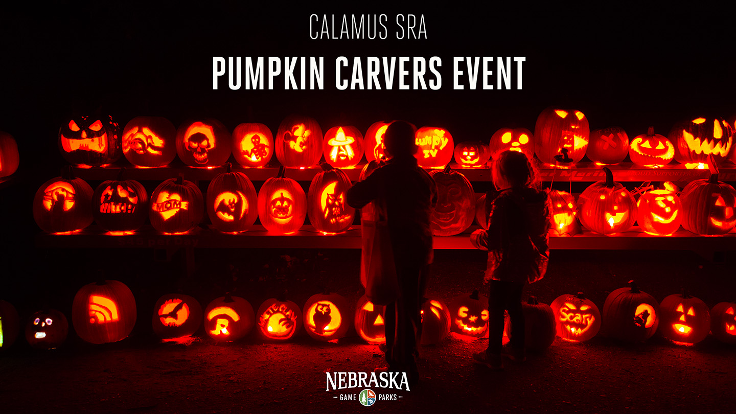 Two kids look at lit up jack-o-lanterns at night.