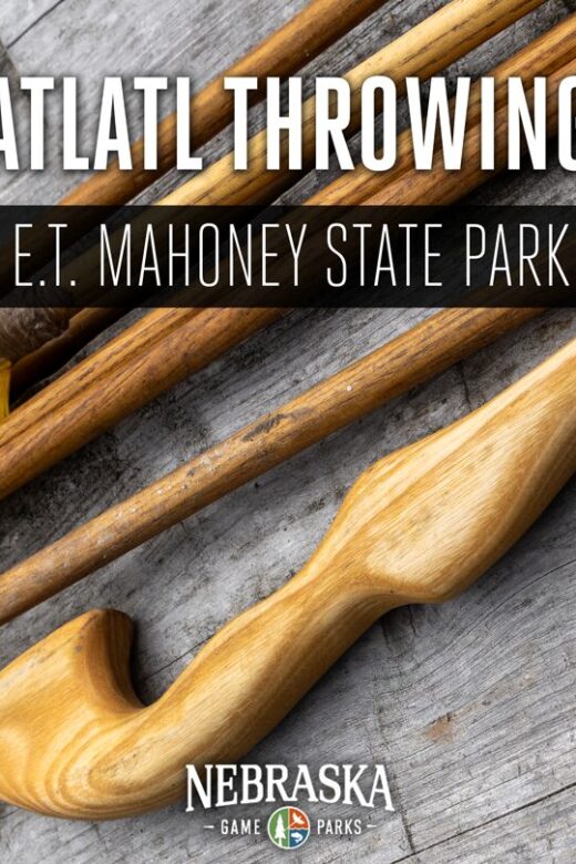 Atlatl spears on a table.