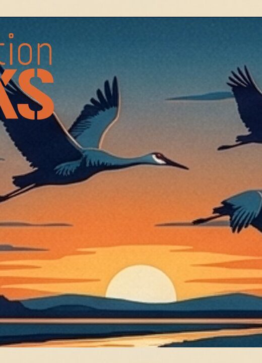 painting of cranes flying over a river with a sunset in the background. words "conservation works" in top left corner